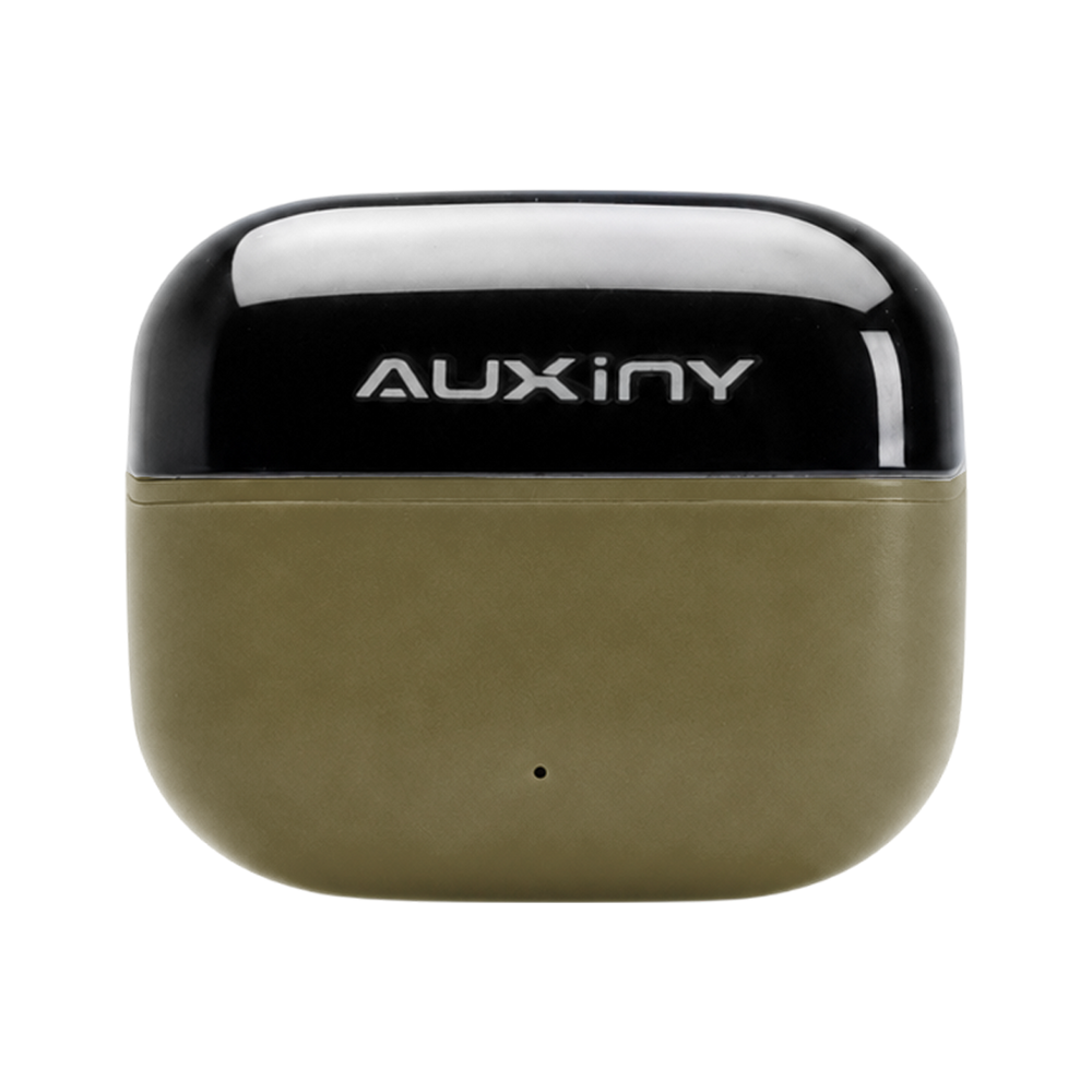 Auxiny Airdopes 181 Pro Wireless Earbuds