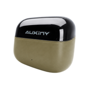 Auxiny Airdopes 181 Pro Wireless Earbuds